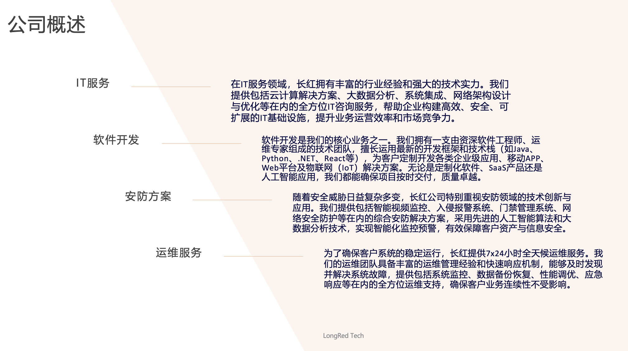 公司概述